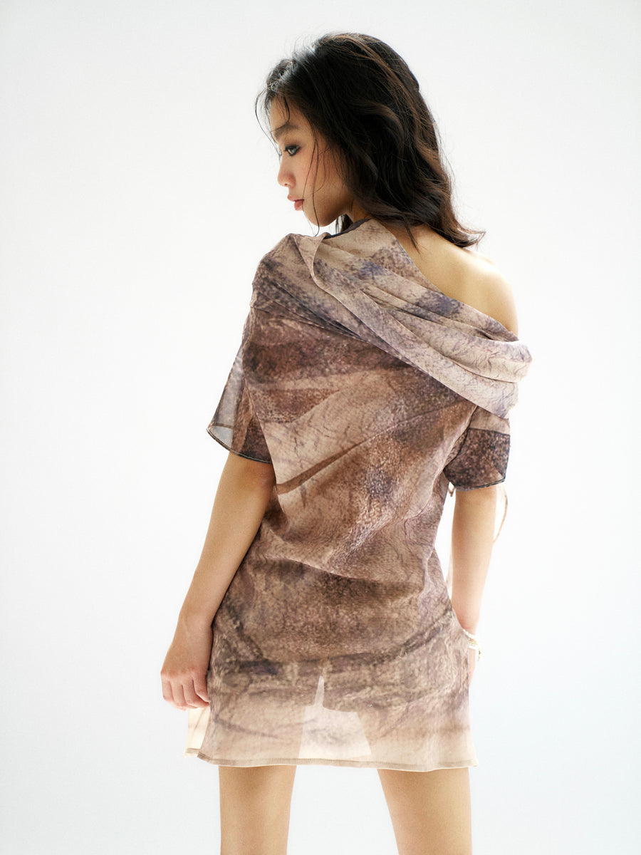 Realistic Printed Chiffon Dress