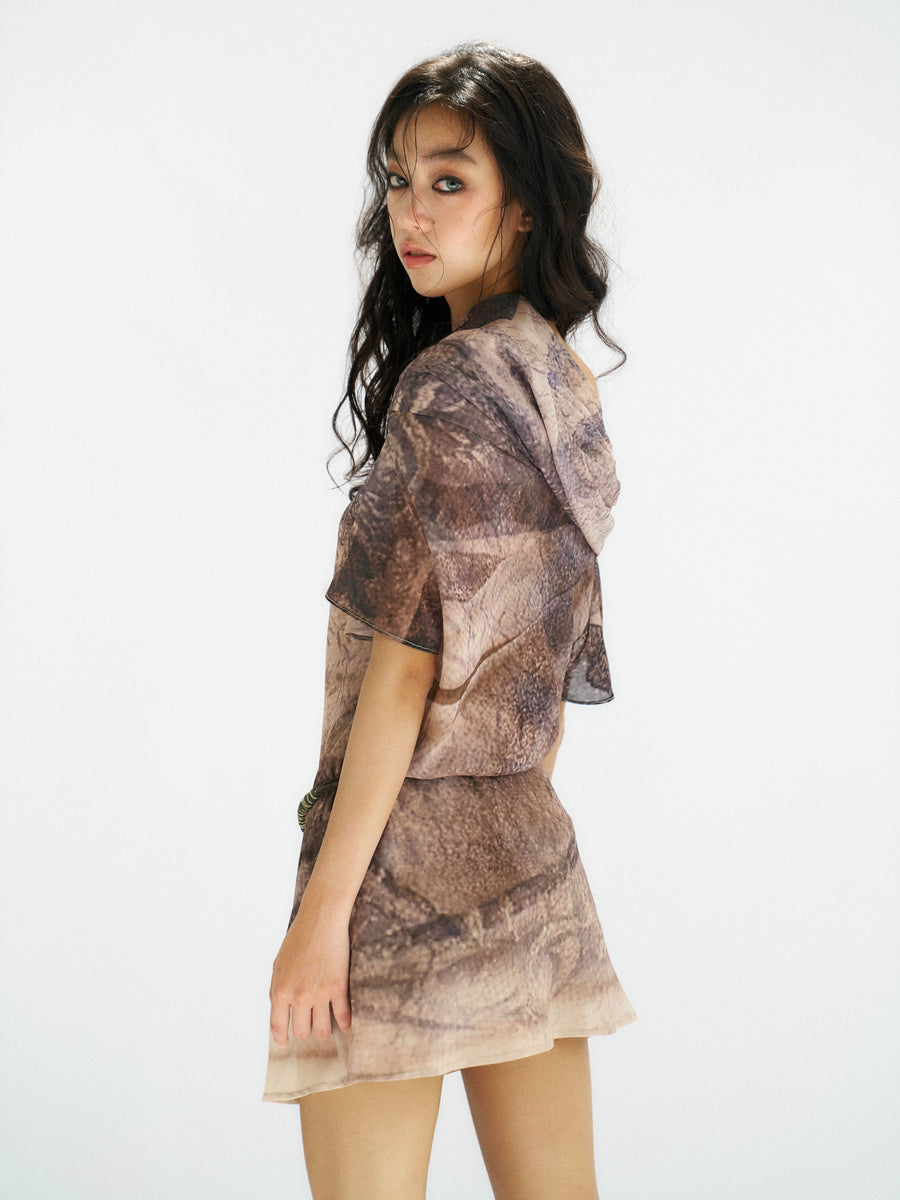 Realistic Printed Chiffon Dress